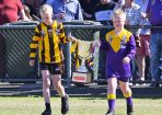 gdflfooty_359914_03.jpg