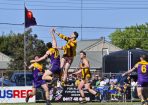 gdflfooty_359914_05.jpg