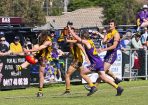 gdflfooty_359914_11.jpg