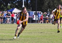 Hawks break drought and Thomson hearts