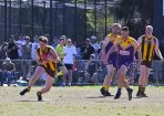 gdflfooty_359914_16.jpg