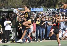 Tigers hold in A Grade thriller