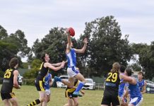 Davis wins Les Ash Medal