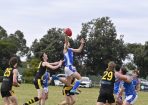 senfooty_356189_03.jpg