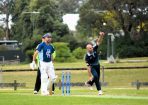 bpcacricke_365685_02.JPG