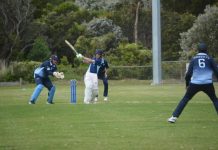 Seagulls on the board early