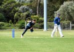 bpcacricke_365685_06.JPG