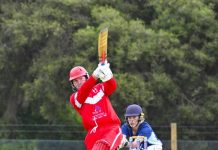 Mulgrew stars for Titans with superb century