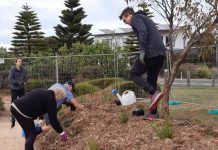 Orchard blooms with upgrades