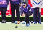 bowls_377039_03.jpg