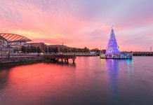 Ho, ho, ho it’s Christmas in Geelong