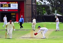 Willows smacks second ton for Highton
