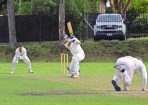 gcacricket_377038_30.jpg