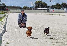 Dachshund Dash is back for a second year