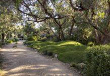 Anglesea gardens open this January