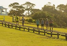 Run along the sunset