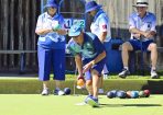 bowls_382322_01.jpg