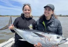 Hot one day, cold the next