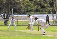 Cricket returns after short break