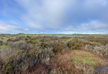 A celebration of Ramsar sites