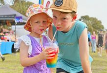 Tranquility at the Twilight Fair