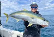 Nice weather for fishing