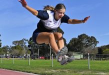 Council pushes for $10m Landy Field upgrade