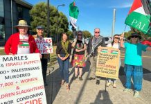 Calling for solidarity with Palestine