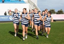 VFL and VFLW fixtures announced