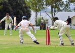 gcacricket_390936_07.jpg