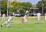 gcacricket_390936_11.jpg