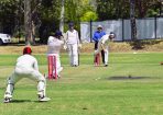 gcacricket_390936_15.jpg