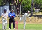 gcacricket_390936_18.jpg