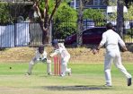 gcacricket_390936_19.jpg