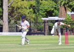 gcacricket_390936_23.jpg