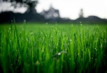 History ‘needs to be respected’