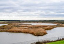 New stormwater standards for developers