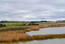 Diverting stormwater from the Karaaf Wetlands