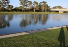 Algae outbreak closes Barwon River