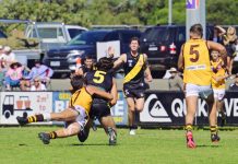 History repeats as Tigers tame Hawks