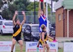 gflfooty_400354_17.jpg