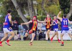 gflfooty_403483_05.jpg