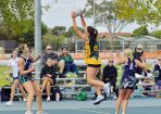 gflnetball_402316_22.jpg