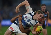 Cats duo banned over high hits