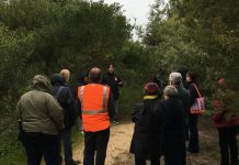 Walking for culture in Queenscliff