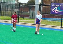 Goals for sport venues