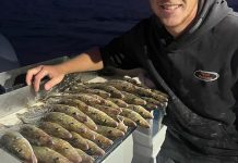 Whiting fishing as good as it gets