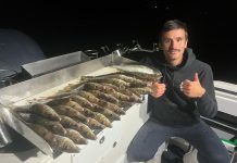 Whiting flock to Stingaree Bay