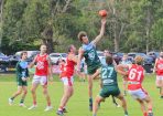 footy_405172_05.jpg