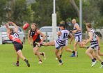 footy_406543_02.jpg